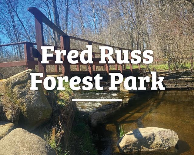 Russ Forest 1 Medium